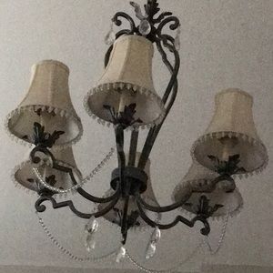 Meet your Posher, Lucy